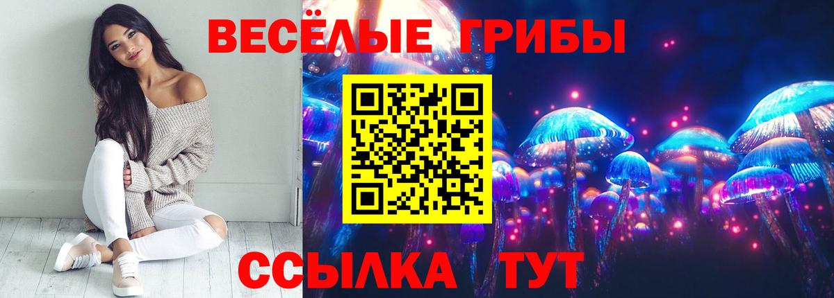 где купить наркоту  Псилоцибиновые грибы Magic Shrooms  Вход с VPN  Отрадный 