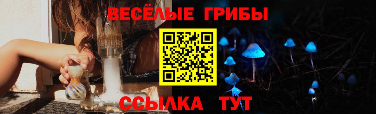 Псилоцибиновые грибы Psilocybine cubensis Отрадный